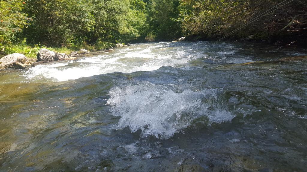 Gasthof Zur Gams Donnersbachwald Exteriör bild