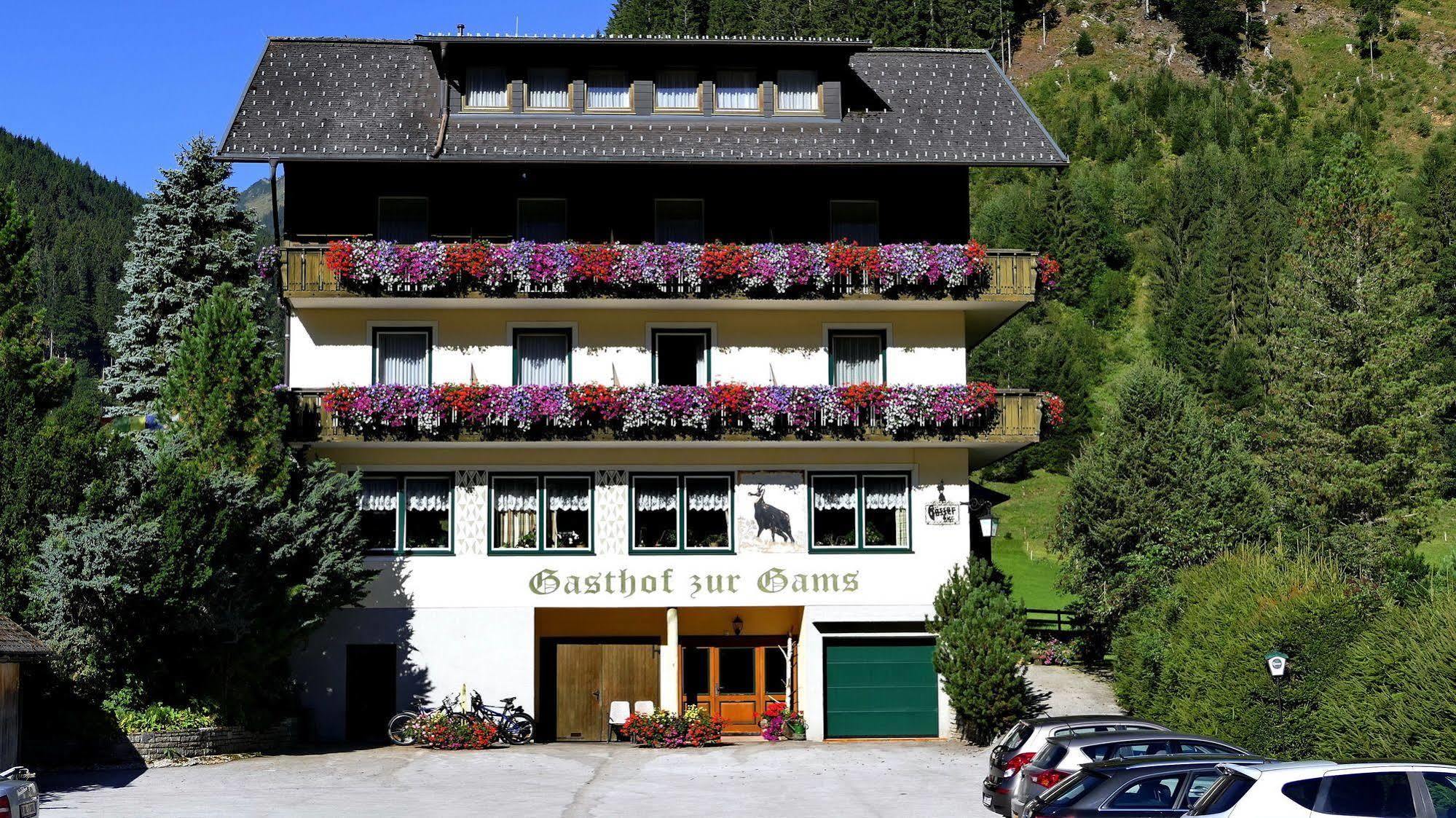 Gasthof Zur Gams Donnersbachwald Exteriör bild